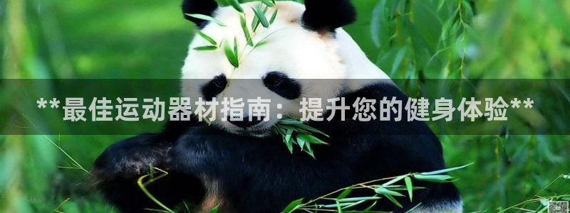 德国意昂3集团