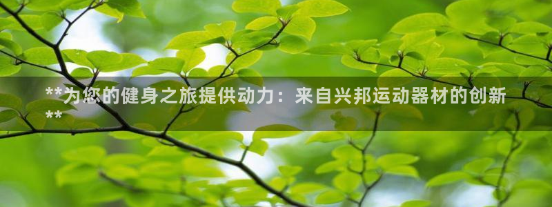 海南意昂体育3