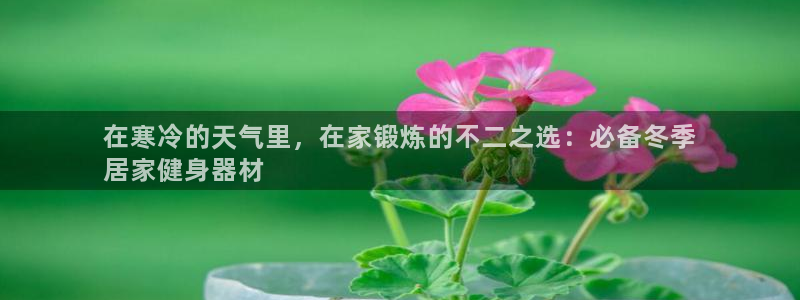 德国意昂3集团：在寒冷的天气里，在家锻炼的不二之选：