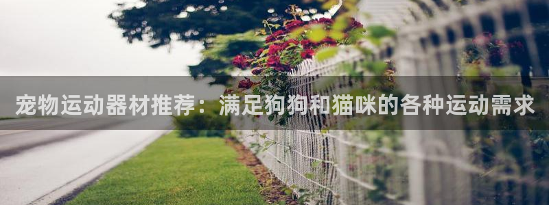 意昂体育3娱乐